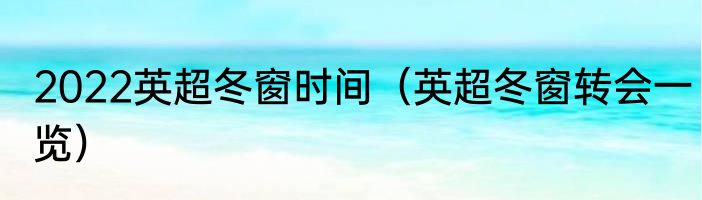 2022英超冬窗时间（英超冬窗转会一览）