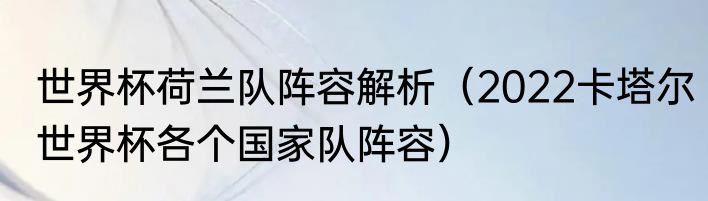 世界杯荷兰队阵容解析（2022卡塔尔世界杯各个国家队阵容）