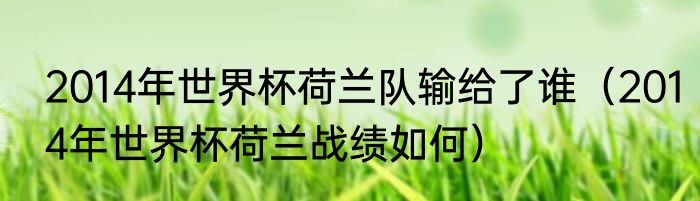 2014年世界杯荷兰队输给了谁（2014年世界杯荷兰战绩如何）