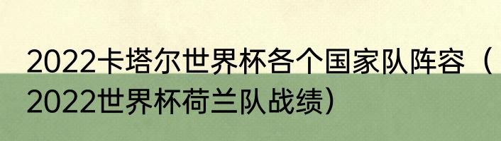 2022卡塔尔世界杯各个国家队阵容（2022世界杯荷兰队战绩）