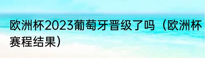 欧洲杯2023葡萄牙晋级了吗（欧洲杯赛程结果）