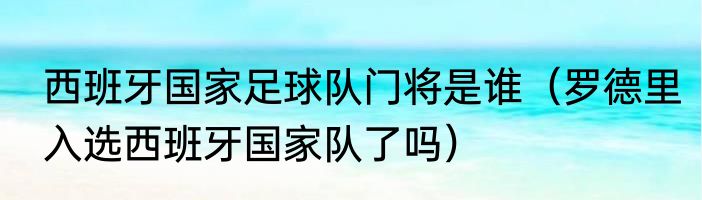 西班牙国家足球队门将是谁（罗德里入选西班牙国家队了吗）