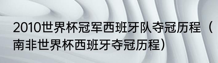 2010世界杯冠军西班牙队夺冠历程（南非世界杯西班牙夺冠历程）