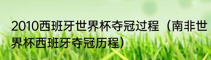 2010西班牙世界杯夺冠过程（南非世界杯西班牙夺冠历程）