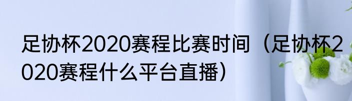足协杯2020赛程比赛时间（足协杯2020赛程什么平台直播）