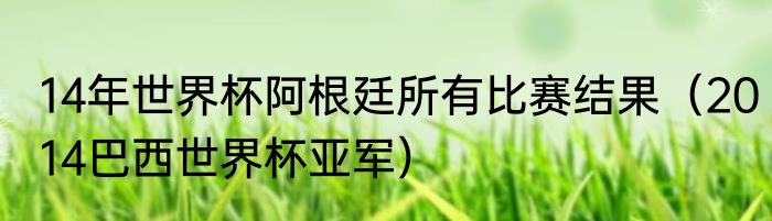14年世界杯阿根廷所有比赛结果（2014巴西世界杯亚军）