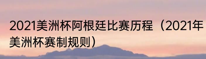2021美洲杯阿根廷比赛历程（2021年美洲杯赛制规则）