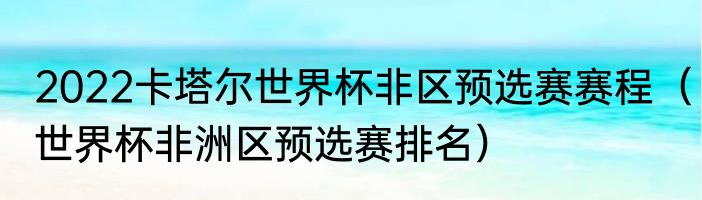 2022卡塔尔世界杯非区预选赛赛程（世界杯非洲区预选赛排名）