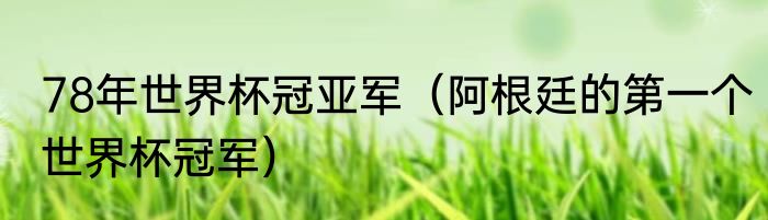 78年世界杯冠亚军（阿根廷的第一个世界杯冠军）