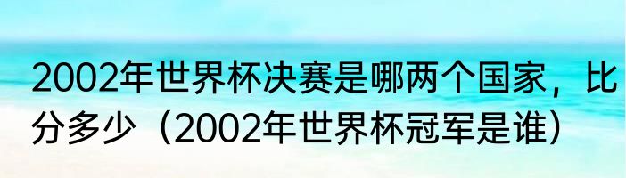 2002年世界杯决赛是哪两个国家，比分多少（2002年世界杯冠军是谁）