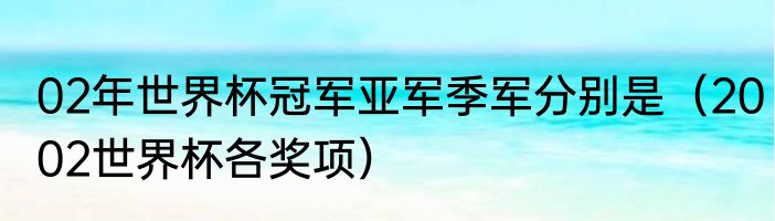 02年世界杯冠军亚军季军分别是（2002世界杯各奖项）