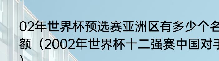 02年世界杯预选赛亚洲区有多少个名额（2002年世界杯十二强赛中国对手）
