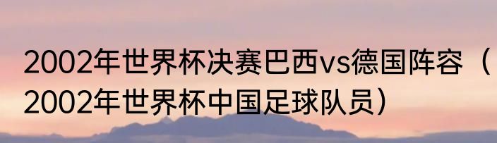 2002年世界杯决赛巴西vs德国阵容（2002年世界杯中国足球队员）