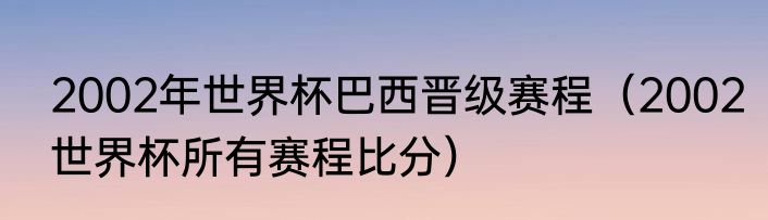 2002年世界杯巴西晋级赛程（2002世界杯所有赛程比分）