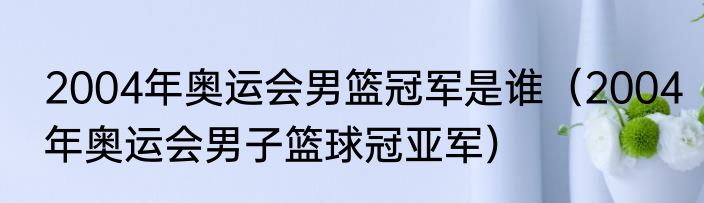 2004年奥运会男篮冠军是谁（2004年奥运会男子篮球冠亚军）