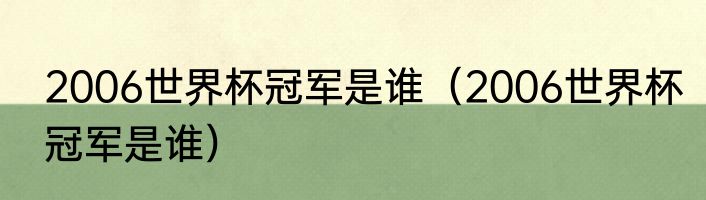 2006世界杯冠军是谁（2006世界杯冠军是谁）