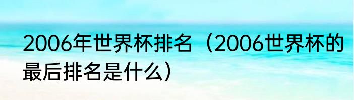2006年世界杯排名（2006世界杯的最后排名是什么）