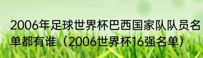 2006年足球世界杯巴西国家队队员名单都有谁（2006世界杯16强名单）