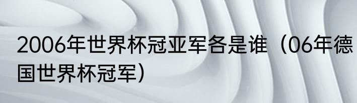 2006年世界杯冠亚军各是谁（06年德国世界杯冠军）