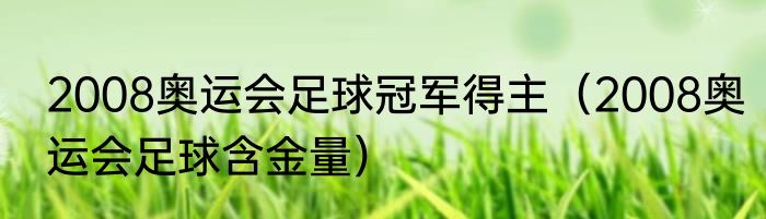 2008奥运会足球冠军得主（2008奥运会足球含金量）