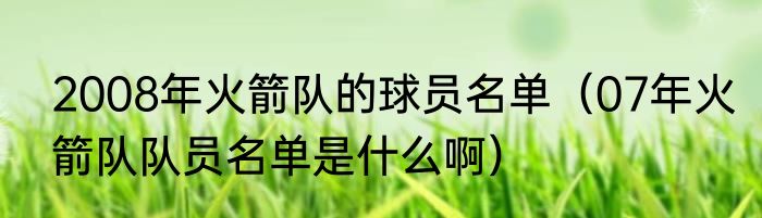 2008年火箭队的球员名单（07年火箭队队员名单是什么啊）
