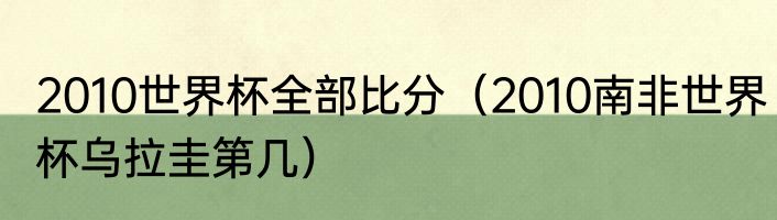 2010世界杯全部比分（2010南非世界杯乌拉圭第几）