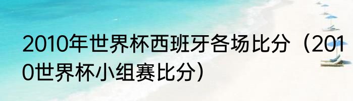 2010年世界杯西班牙各场比分（2010世界杯小组赛比分）