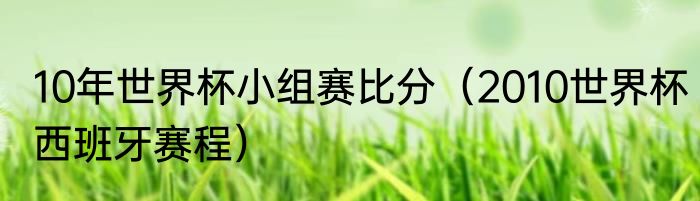 10年世界杯小组赛比分（2010世界杯西班牙赛程）