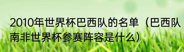 2010年世界杯巴西队的名单（巴西队南非世界杯参赛阵容是什么）
