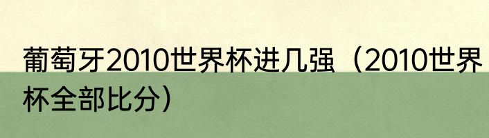 葡萄牙2010世界杯进几强（2010世界杯全部比分）