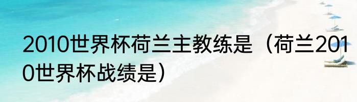 2010世界杯荷兰主教练是（荷兰2010世界杯战绩是）