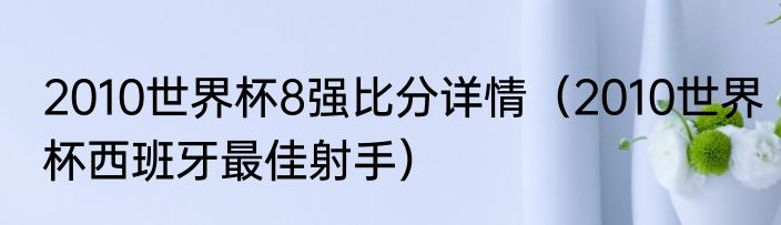 2010世界杯8强比分详情（2010世界杯西班牙最佳射手）