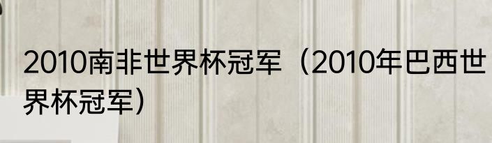 2010南非世界杯冠军（2010年巴西世界杯冠军）