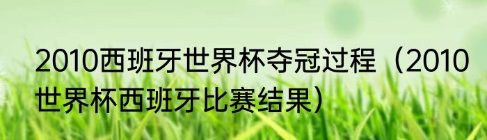 2010西班牙世界杯夺冠过程（2010世界杯西班牙比赛结果）
