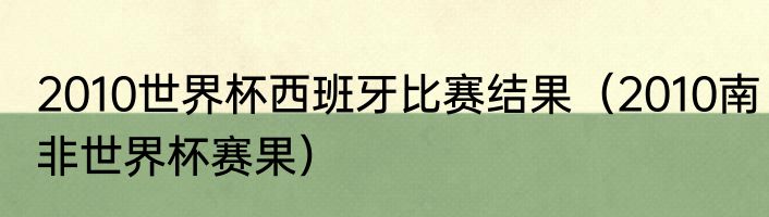 2010世界杯西班牙比赛结果（2010南非世界杯赛果）