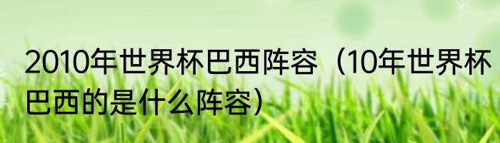 2010年世界杯巴西阵容（10年世界杯巴西的是什么阵容）