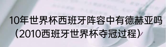 10年世界杯西班牙阵容中有德赫亚吗（2010西班牙世界杯夺冠过程）