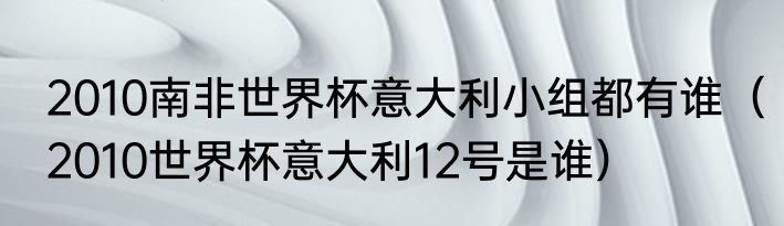 2010南非世界杯意大利小组都有谁（2010世界杯意大利12号是谁）