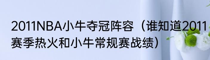 2011NBA小牛夺冠阵容（谁知道2011赛季热火和小牛常规赛战绩）