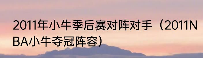 2011年小牛季后赛对阵对手（2011NBA小牛夺冠阵容）
