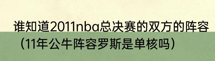 谁知道2011nba总决赛的双方的阵容（11年公牛阵容罗斯是单核吗）