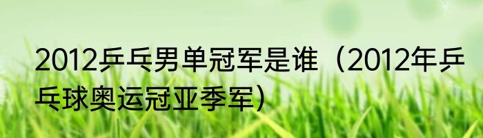2012乒乓男单冠军是谁（2012年乒乓球奥运冠亚季军）