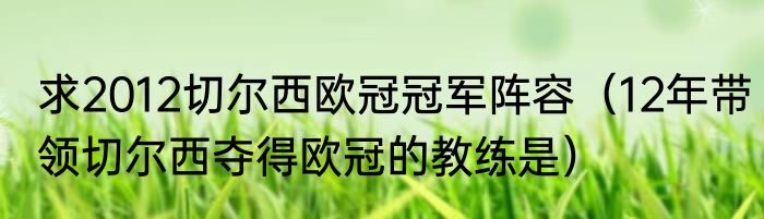 求2012切尔西欧冠冠军阵容（12年带领切尔西夺得欧冠的教练是）