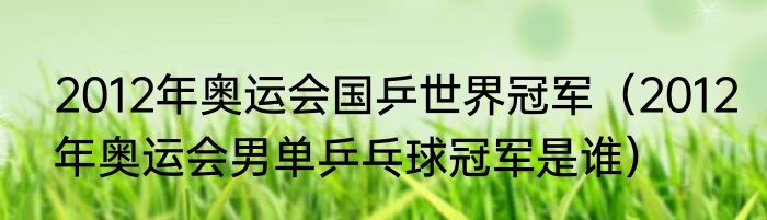 2012年奥运会国乒世界冠军（2012年奥运会男单乒乓球冠军是谁）
