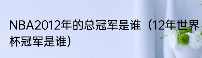 NBA2012年的总冠军是谁（12年世界杯冠军是谁）