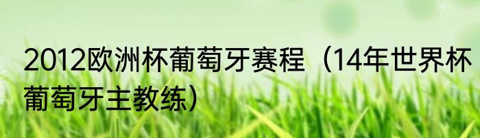 2012欧洲杯葡萄牙赛程（14年世界杯葡萄牙主教练）