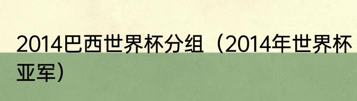 2014巴西世界杯分组（2014年世界杯亚军）