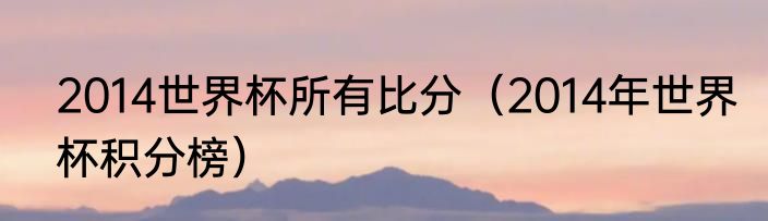 2014世界杯所有比分（2014年世界杯积分榜）