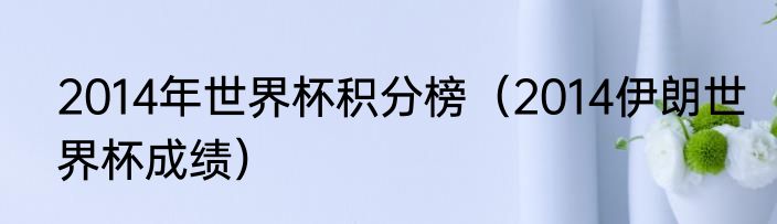 2014年世界杯积分榜（2014伊朗世界杯成绩）