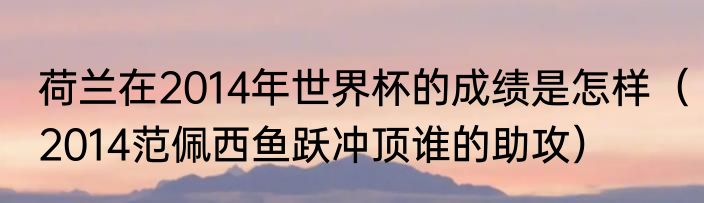 荷兰在2014年世界杯的成绩是怎样（2014范佩西鱼跃冲顶谁的助攻）